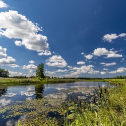 Summer in Estonia