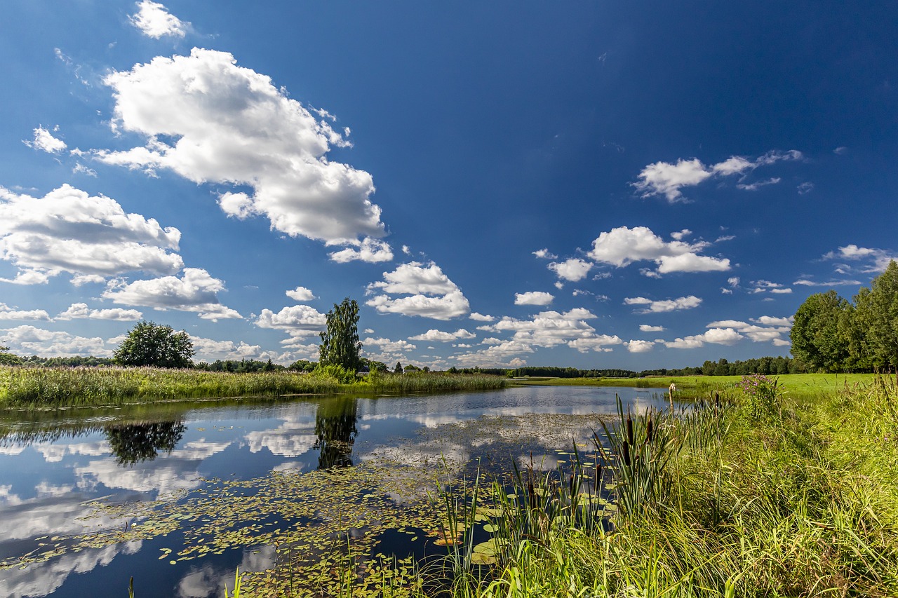 Summer in Estonia