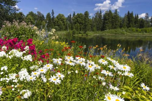 Jäneda, Estonia